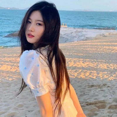 园丁 海报